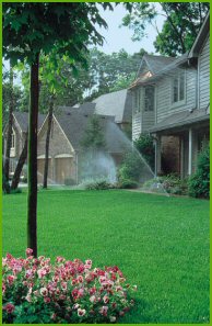 Tex-Lawn